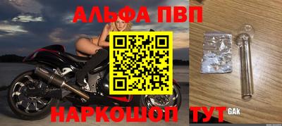 соль ск Кингисепп